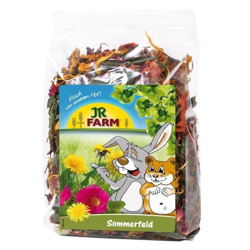 Snack Jr farm - Snack Jr farm