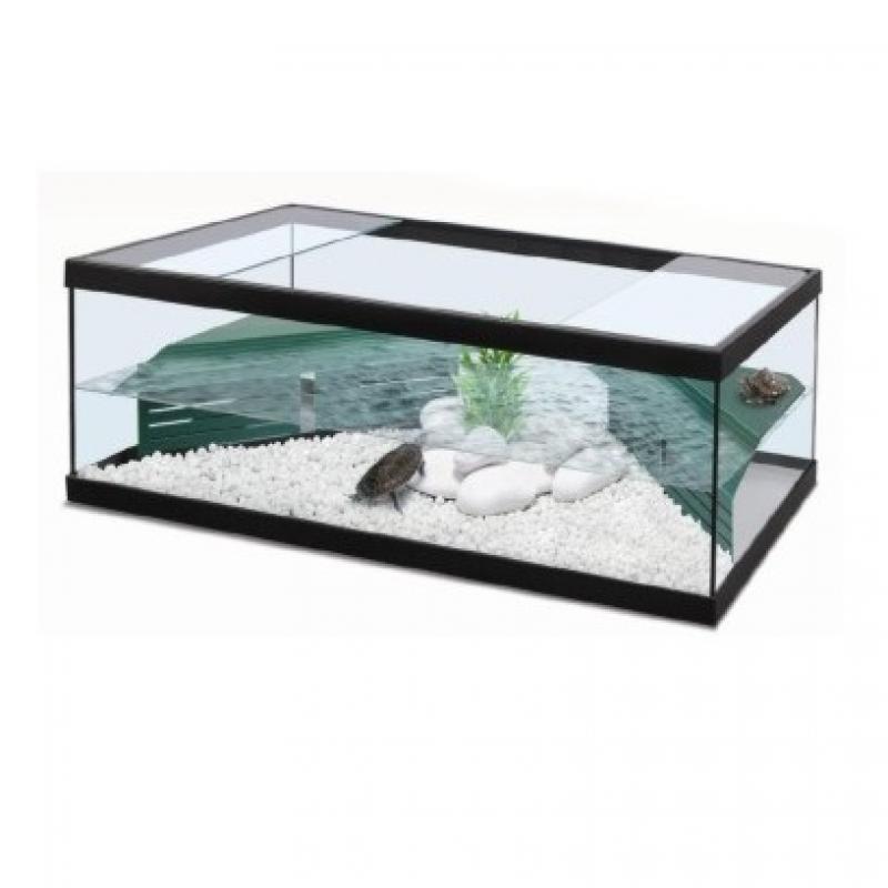 Schildpad terrarium - Schildpad terrarium