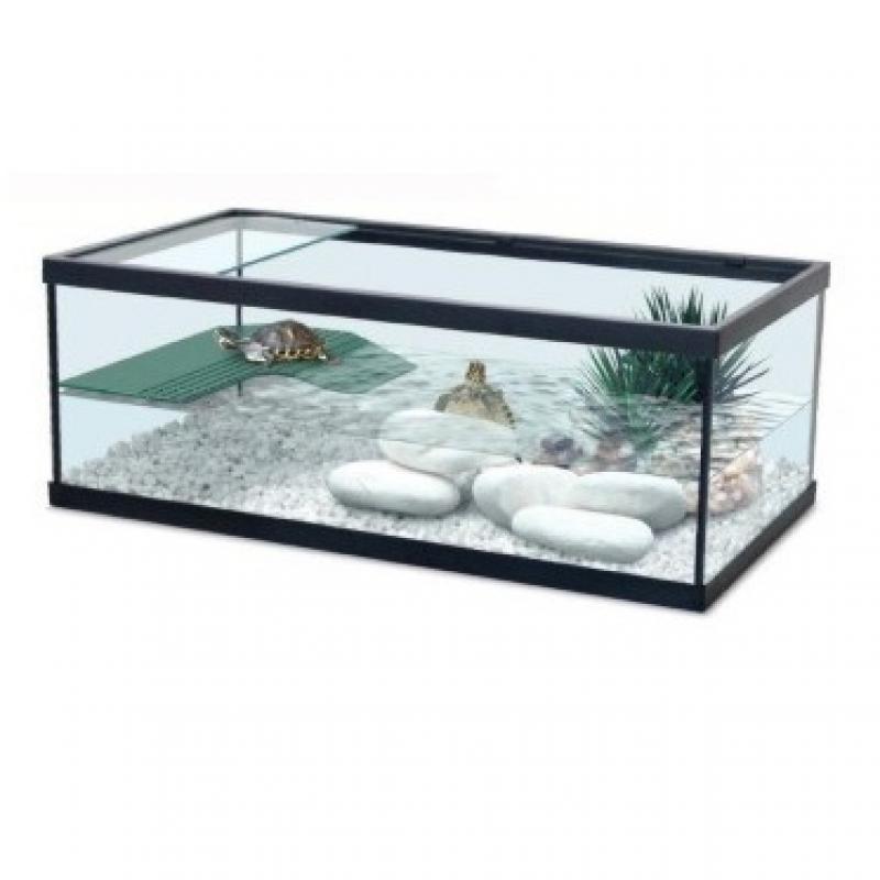 Schildpad terrarium - Schildpad terrarium