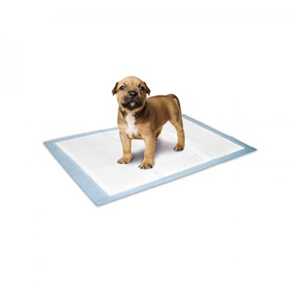 puppy trainingsmat  - puppy trainingsmat 