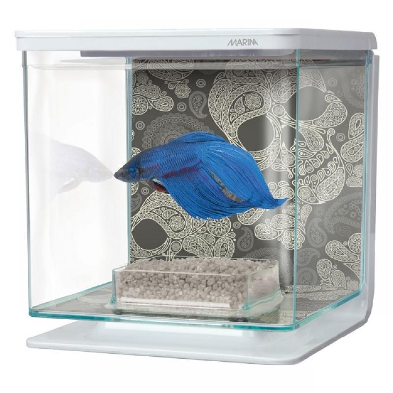 Betta KIT - Betta KIT