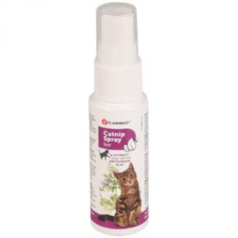 Catnip spray - Catnip spray