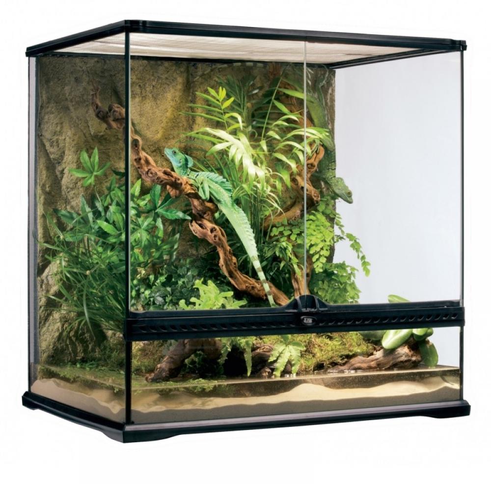 Terrarium Exo Terra - Terrarium Exo Terra