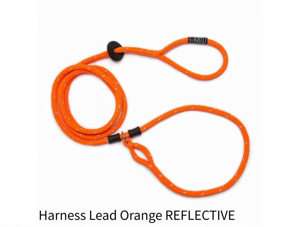 Harness lead - Harness lead