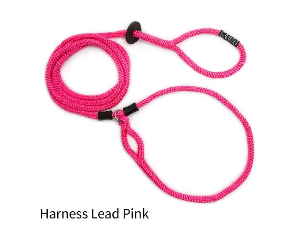 Harness lead - Harness lead