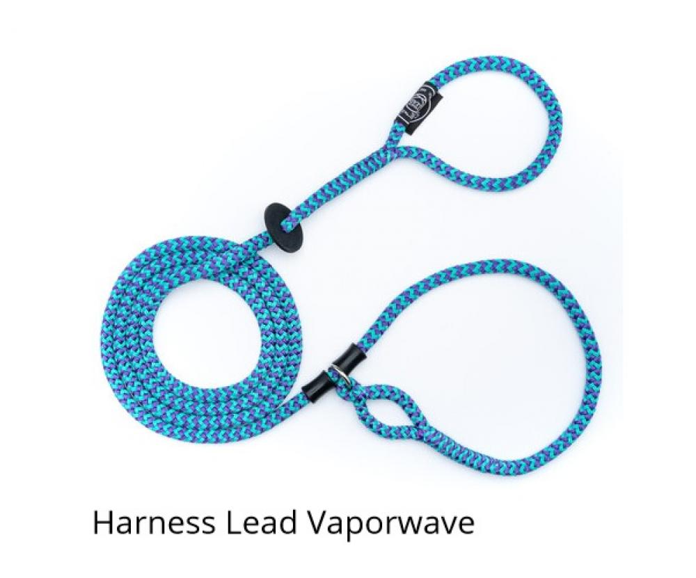 Harness lead - Harness lead