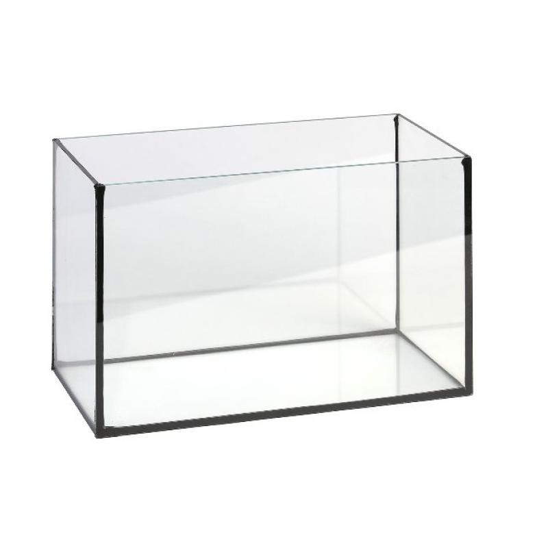 Grizo glas aquarium - Grizo glas aquarium