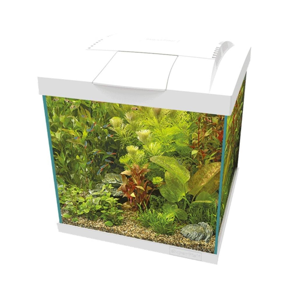 Aquarium SuperFish - Aquarium SuperFish