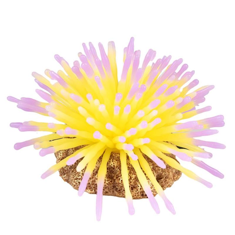 Deco Aqua Della - Deco Aqua Della