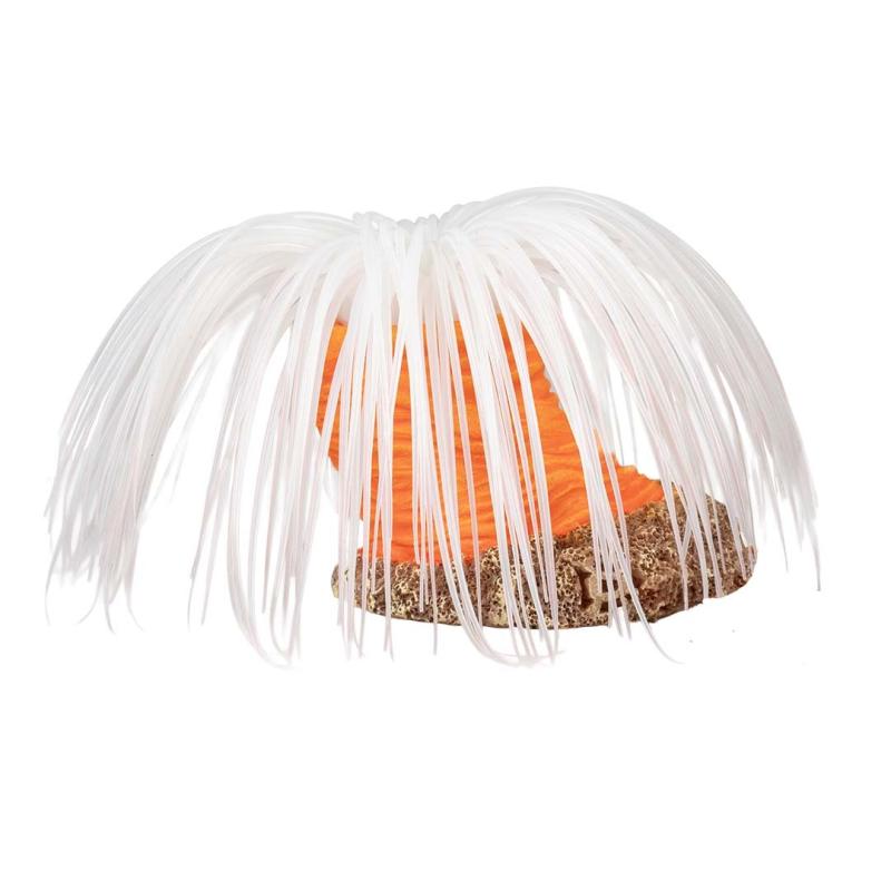 Deco Aqua Della - Deco Aqua Della