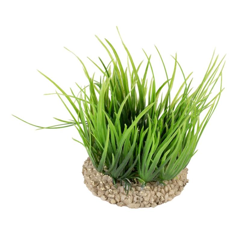 Aqua della Plant - Aqua della Plant