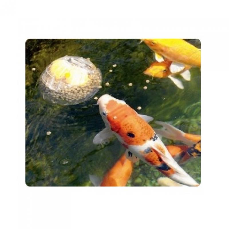 Koi Ball - Koi Ball